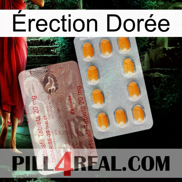 Érection Dorée new13.jpg